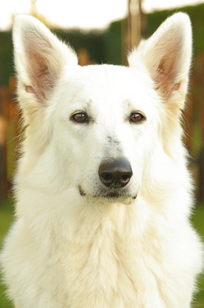 Beverlee Of haely's future